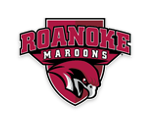 Roanoke Men's Volleyball Camps